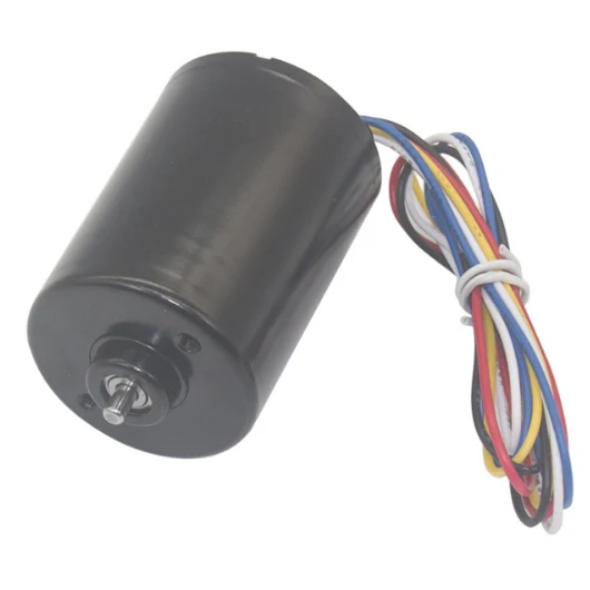 12V 36mm diameter brushless DC motor