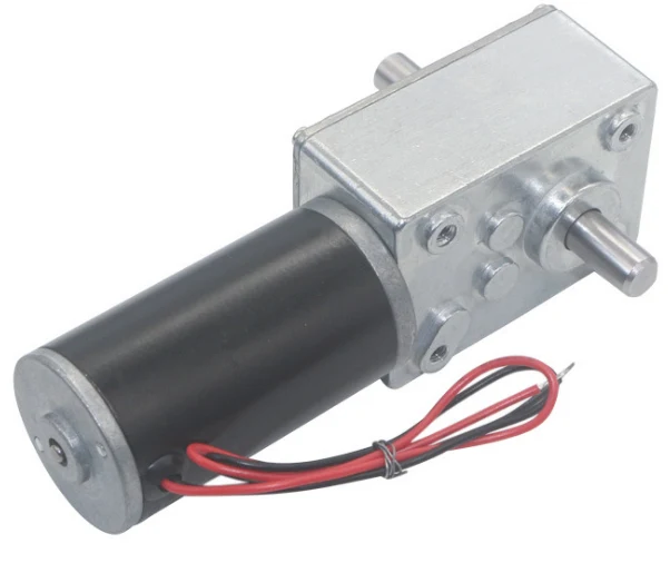 24V 12RPM High Torque Dual Shaft 31D Motor with Worm Gear Reduction