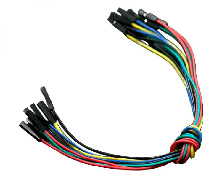 230mm F / F 10 Pin Jumper Wire