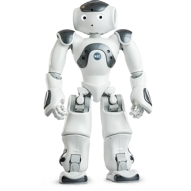 ZoraBots Nao V6 w/ Zora Solution