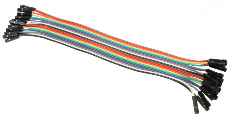 200mm F / F 40 Pin Jumper Wire