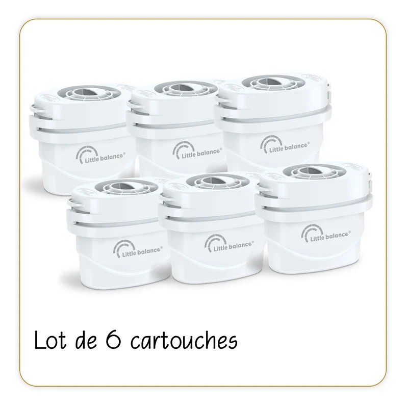 Cartouches filtrantes, Lot de 5 cartouches + 1 offerte