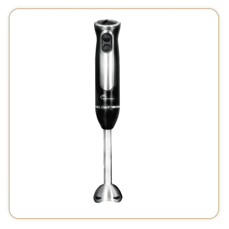 Mixeur plongeant, Speed Inox 600
