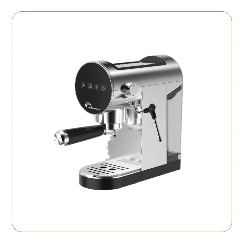 Machine à expresso, Digitale Expresso Inox