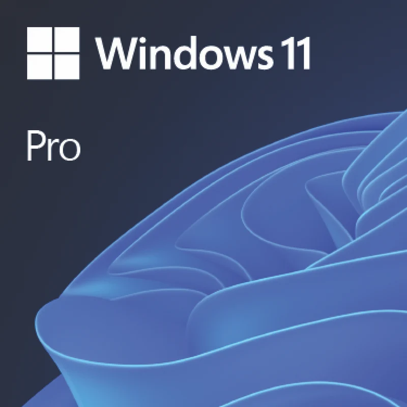Microsoft Windows 11 Pro ESD