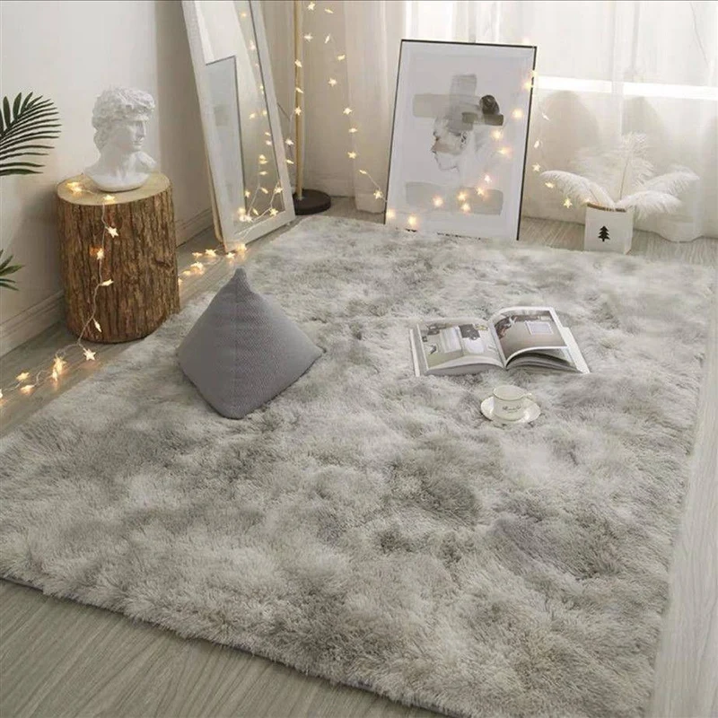 Tapis Peluche pour Salon et Chambre a Coucher